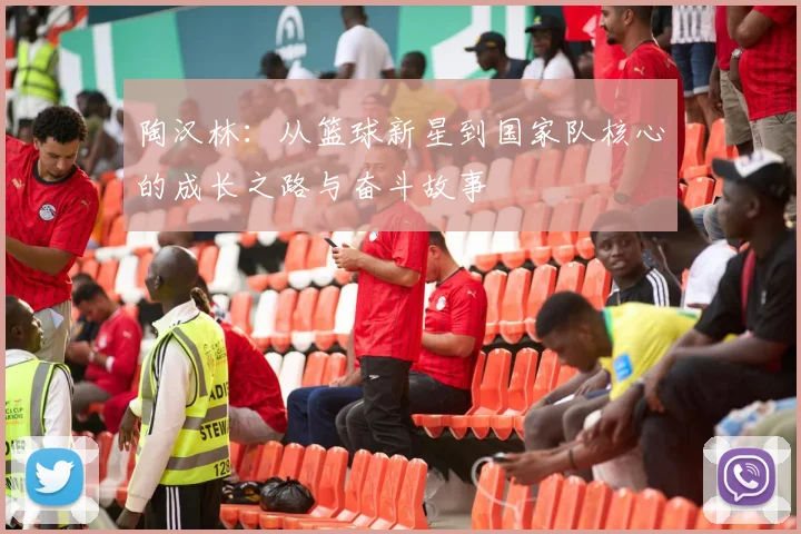 陶汉林：从篮球新星到国家队核心的成长之路与奋斗故事