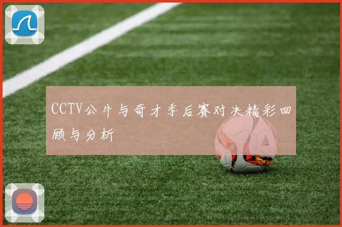 CCTV公牛与奇才季后赛对决精彩回顾与分析