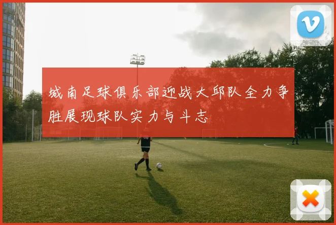 城南足球俱乐部迎战大邱队全力争胜展现球队实力与斗志