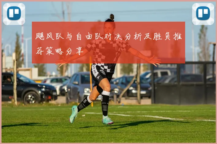飓风队与自由队对决分析及胜负推荐策略分享