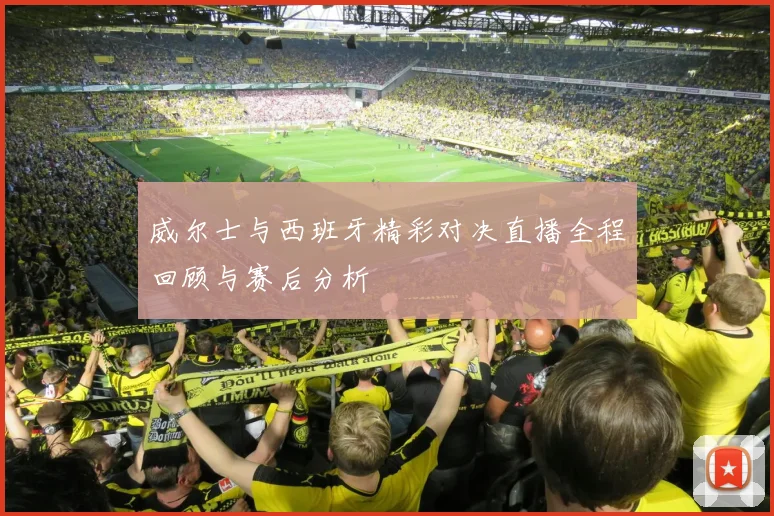 威尔士与西班牙精彩对决直播全程回顾与赛后分析